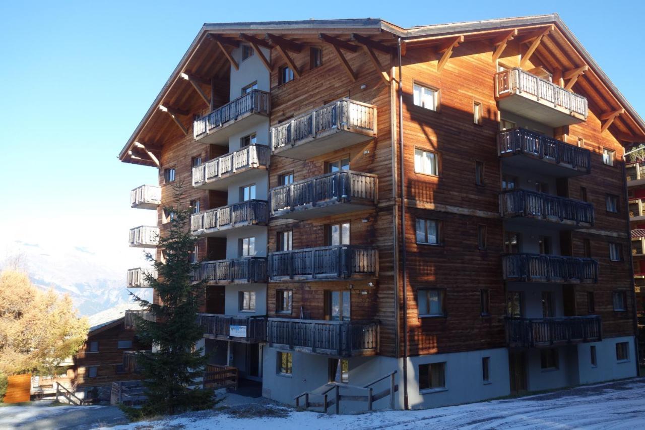Pracondu Outdoor & Fun Appartement 1 Chambre Avec Balcon By Alpvision Residences Nendaz Zewnętrze zdjęcie
