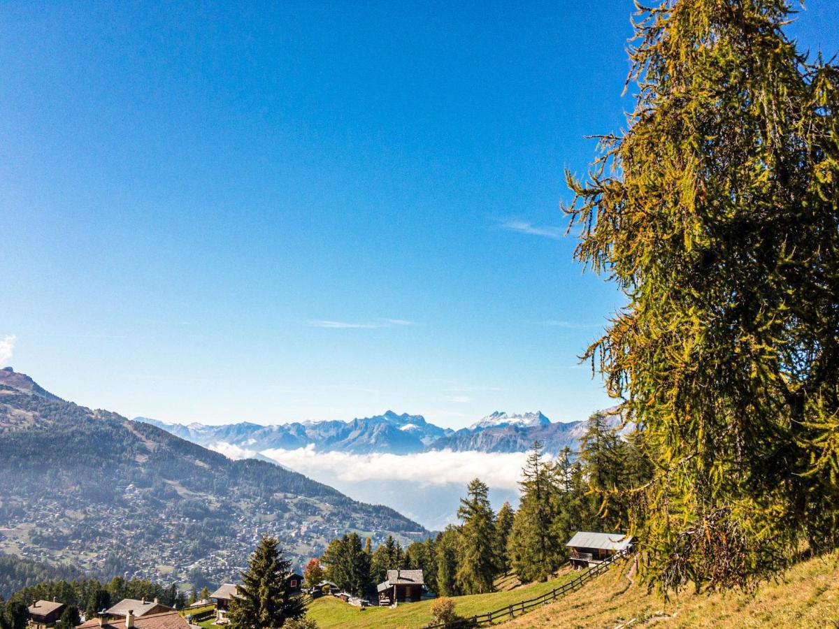 Pracondu Outdoor & Fun Appartement 1 Chambre Avec Balcon By Alpvision Residences Nendaz Zewnętrze zdjęcie