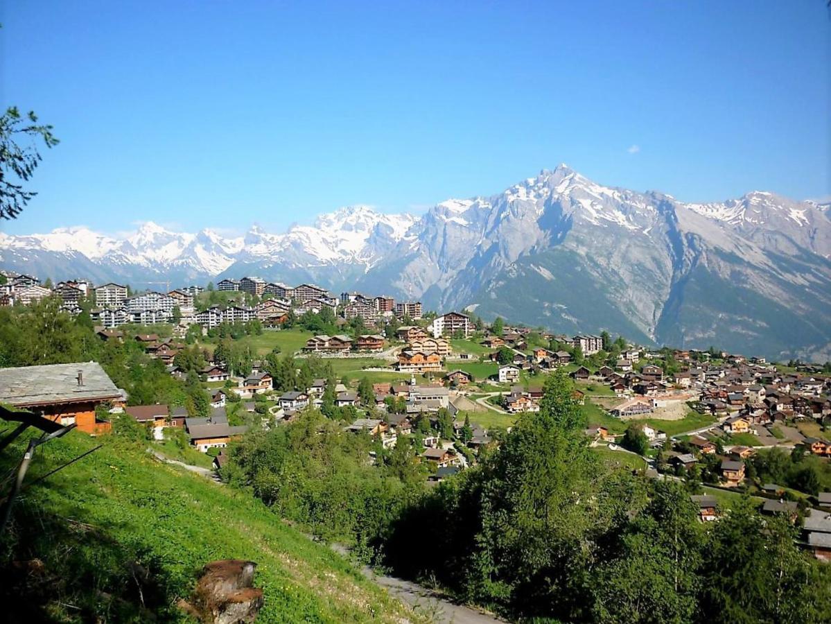 Pracondu Outdoor & Fun Appartement 1 Chambre Avec Balcon By Alpvision Residences Nendaz Zewnętrze zdjęcie